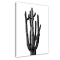 Black and white wall art print of a tall cactus with ribbed arms and sculptural form.