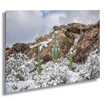 Saguaro Cactus Print – Winter Cactus Photo | Snow in Desert Wall Art Decor