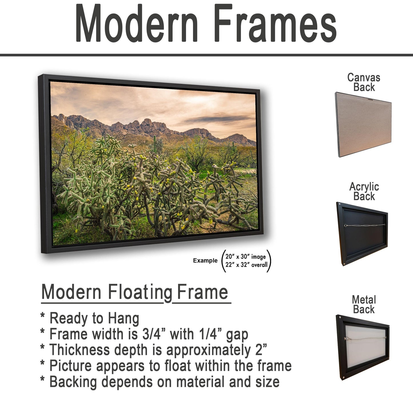 Catalina State Park Blooming Cholla - Tucson Arizona Desert Mountains Photography Print