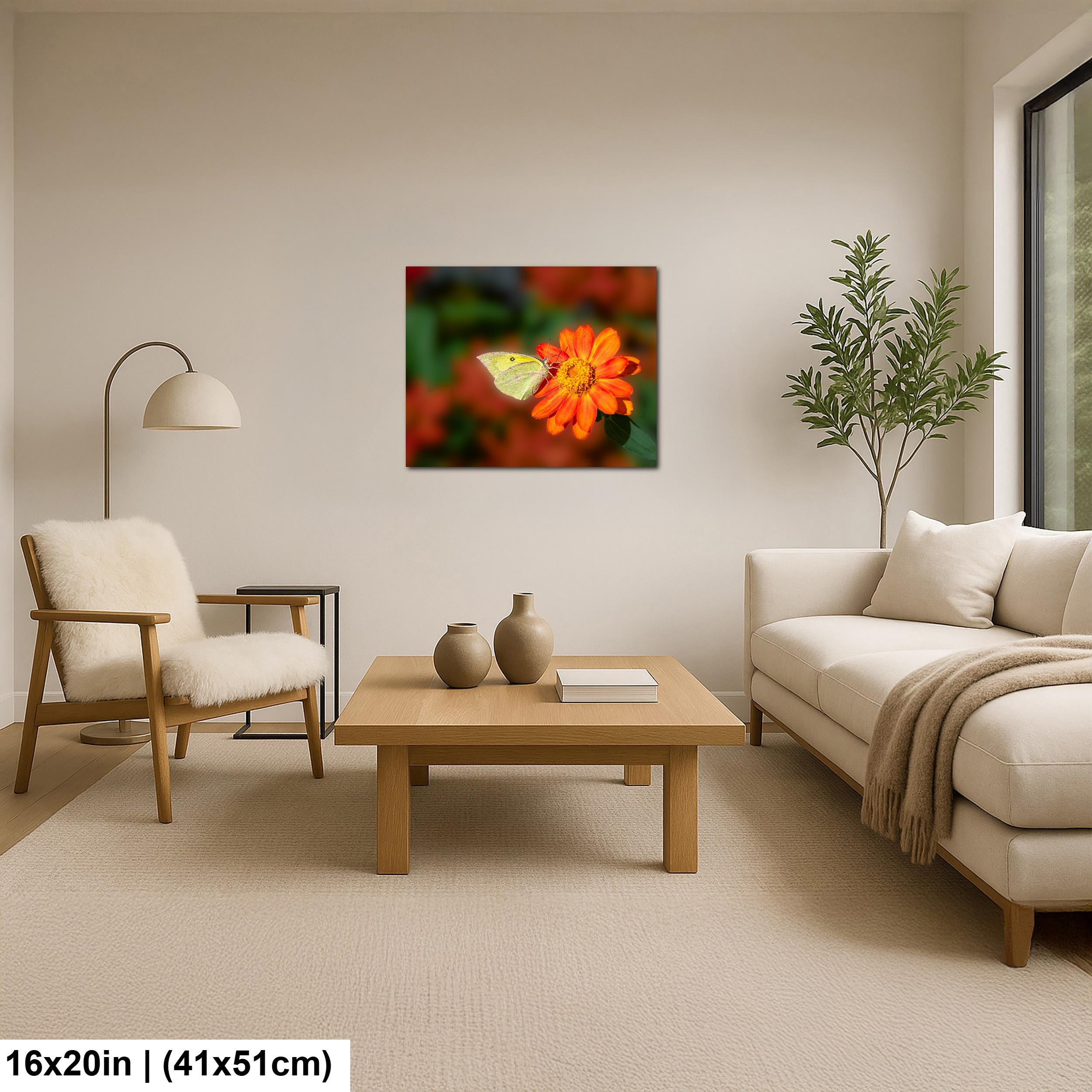 Gentle Landing: Butterfly on Flower Mt. Lemmon Arizona Photography Wall Art