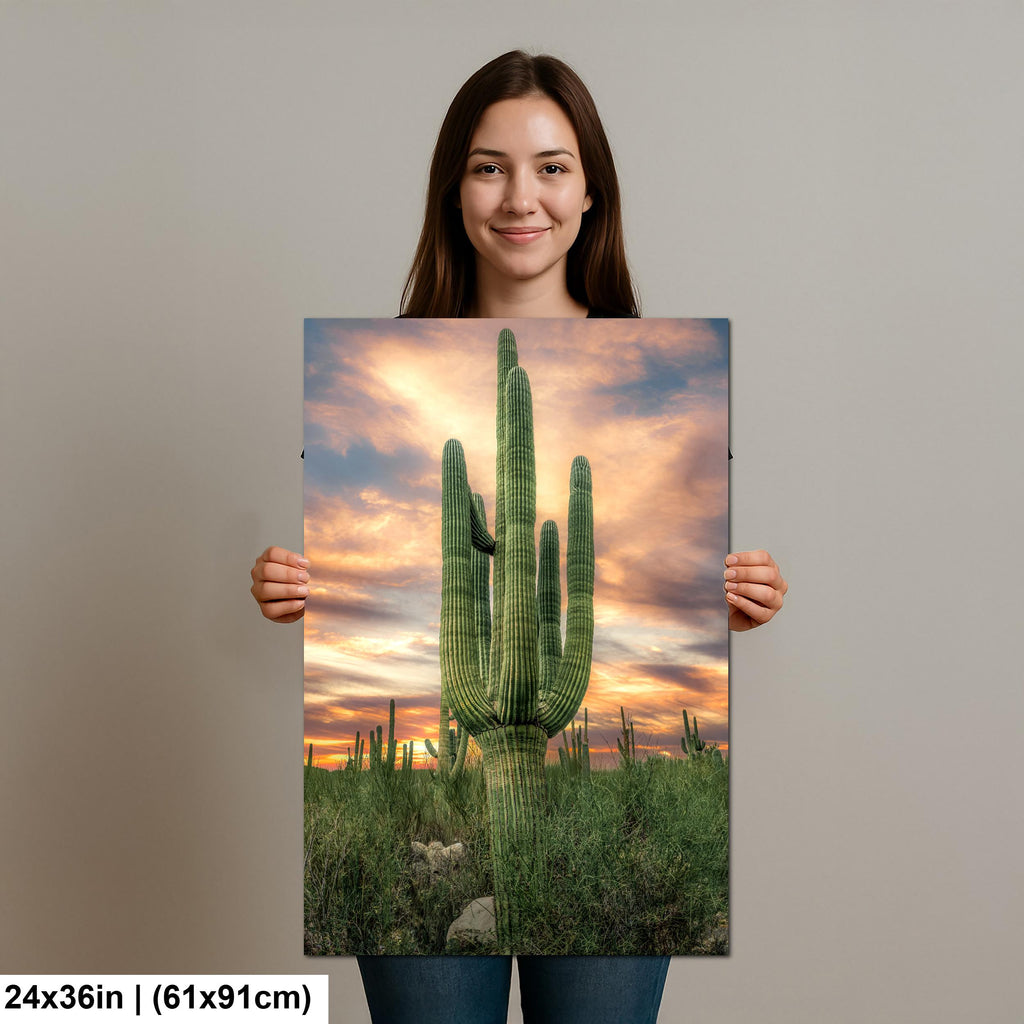 Towering Multi-Arm Saguaro at Sunset - Catalina State Park Tucson Arizona Sonoran Desert Photography Print
