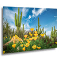 Sonoran Desert Yellow Poppies with Saguaros - Catalina State Park Tucson Arizona Photography Print