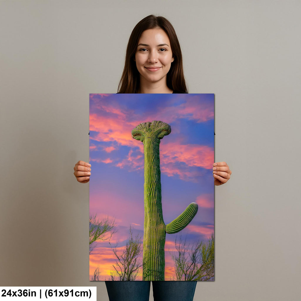 Crested Saguaro Cactus at Sunset - Saguaro National Park East Tucson Photography Print
