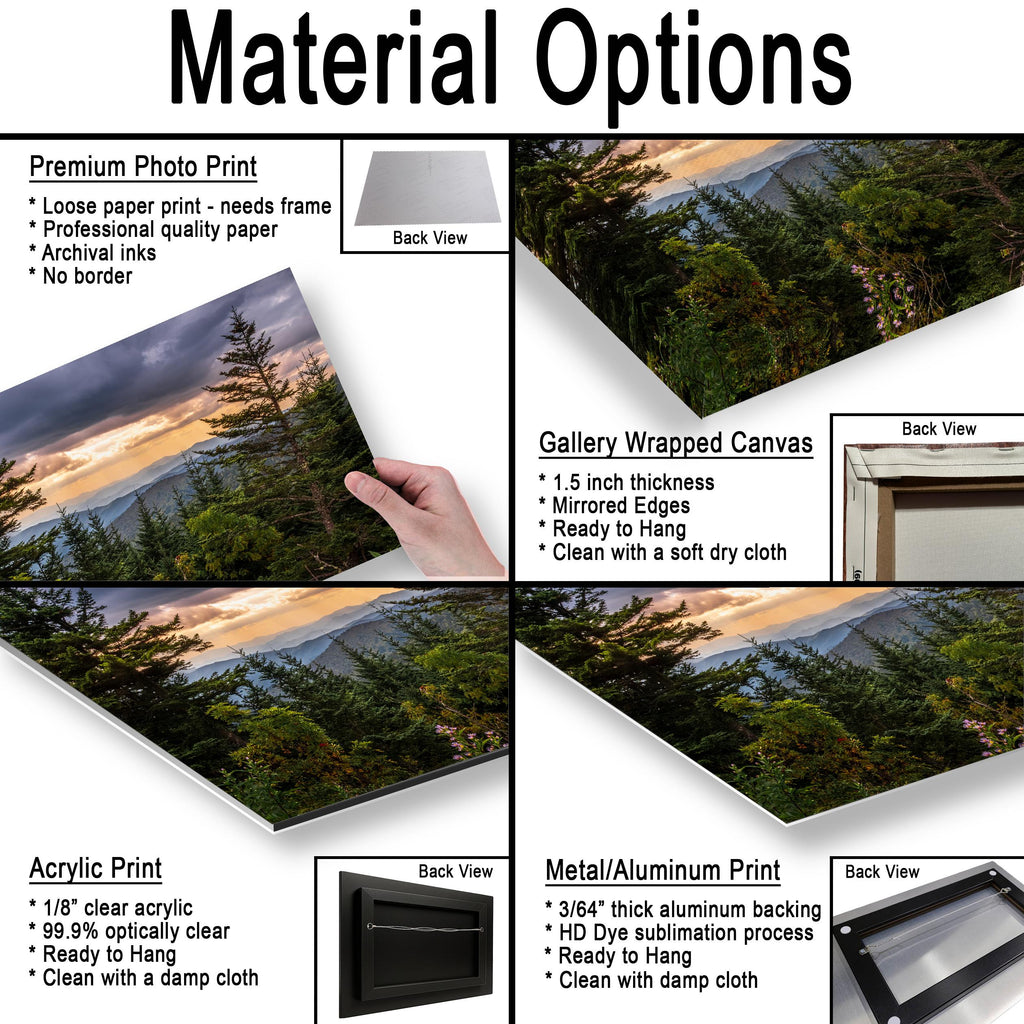 Between the Pines: Scenic View Great Smoky Mountains TN Photo Wall Art