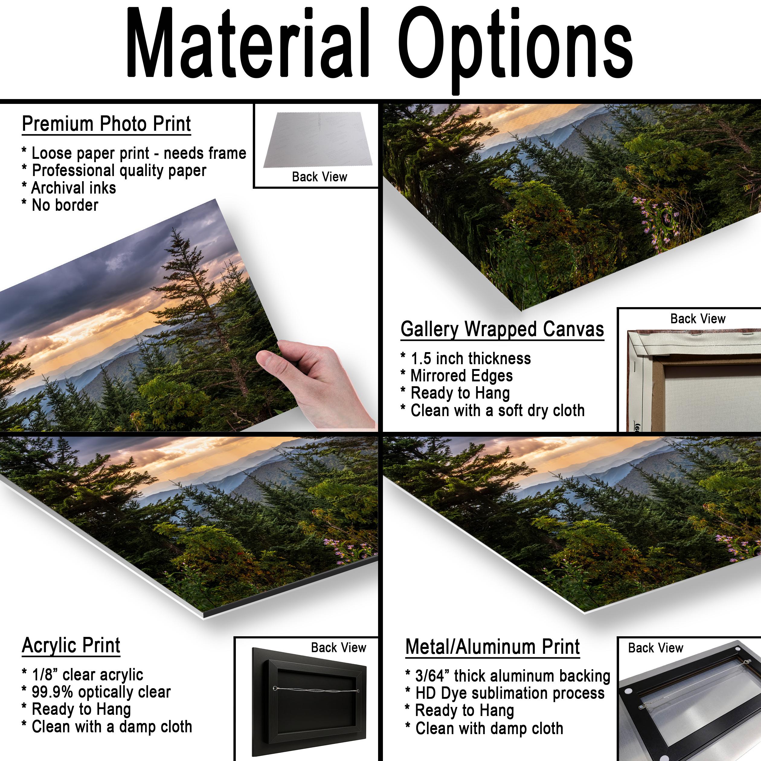 Between the Pines: Scenic View Great Smoky Mountains TN Photo Wall Art