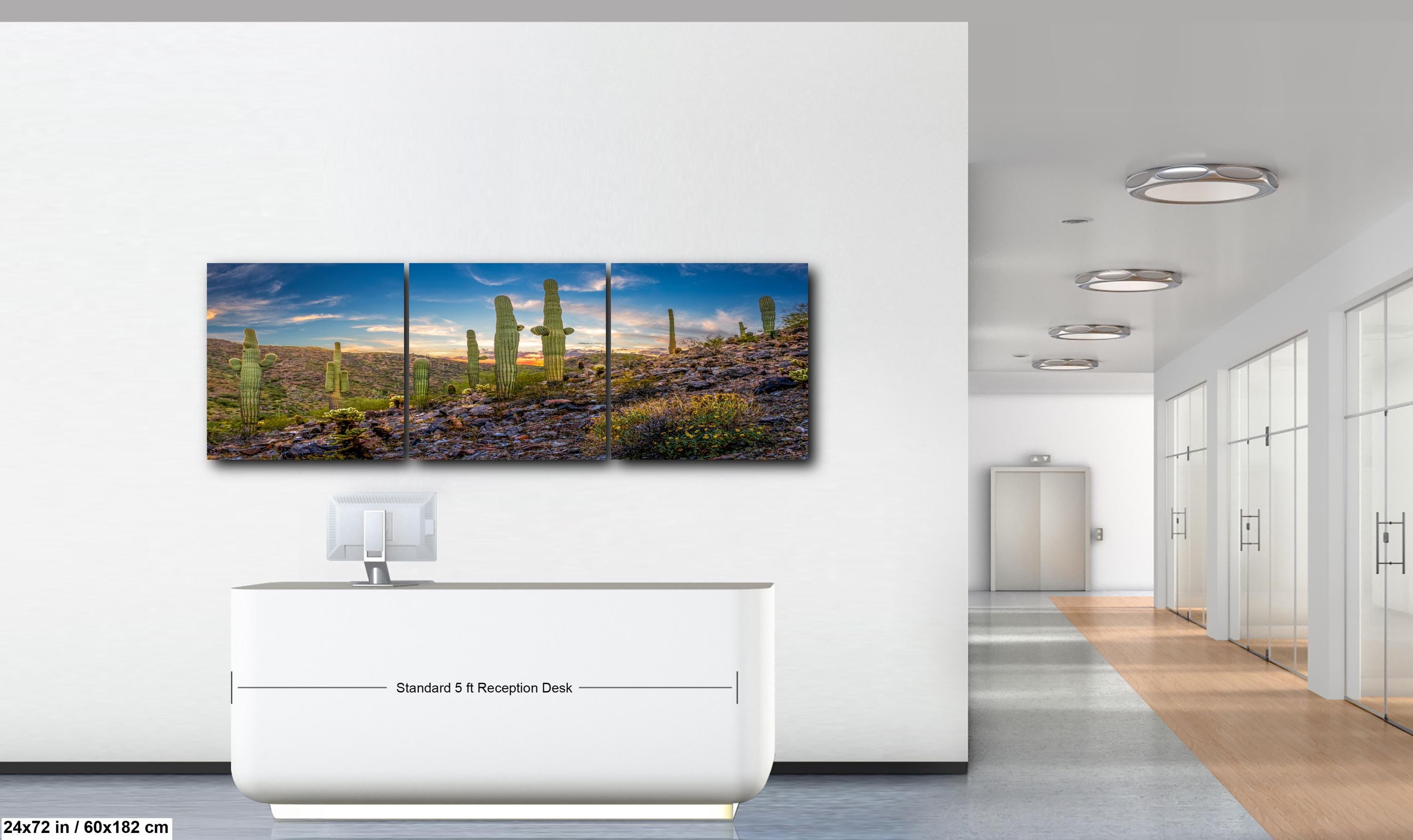 Sonoran Desert Saguaros at Sunset, Casa Grande Arizona Photography Wall Art
