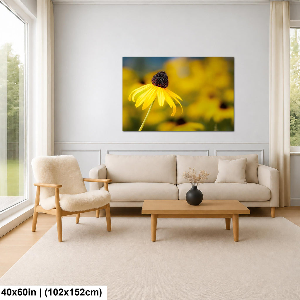 Sunlit Petals: Black-Eyed Susans Yellow Floral Photography Wall Art