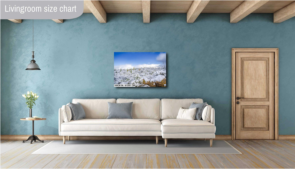 Saguaro National Park Winter Snow Photography Print