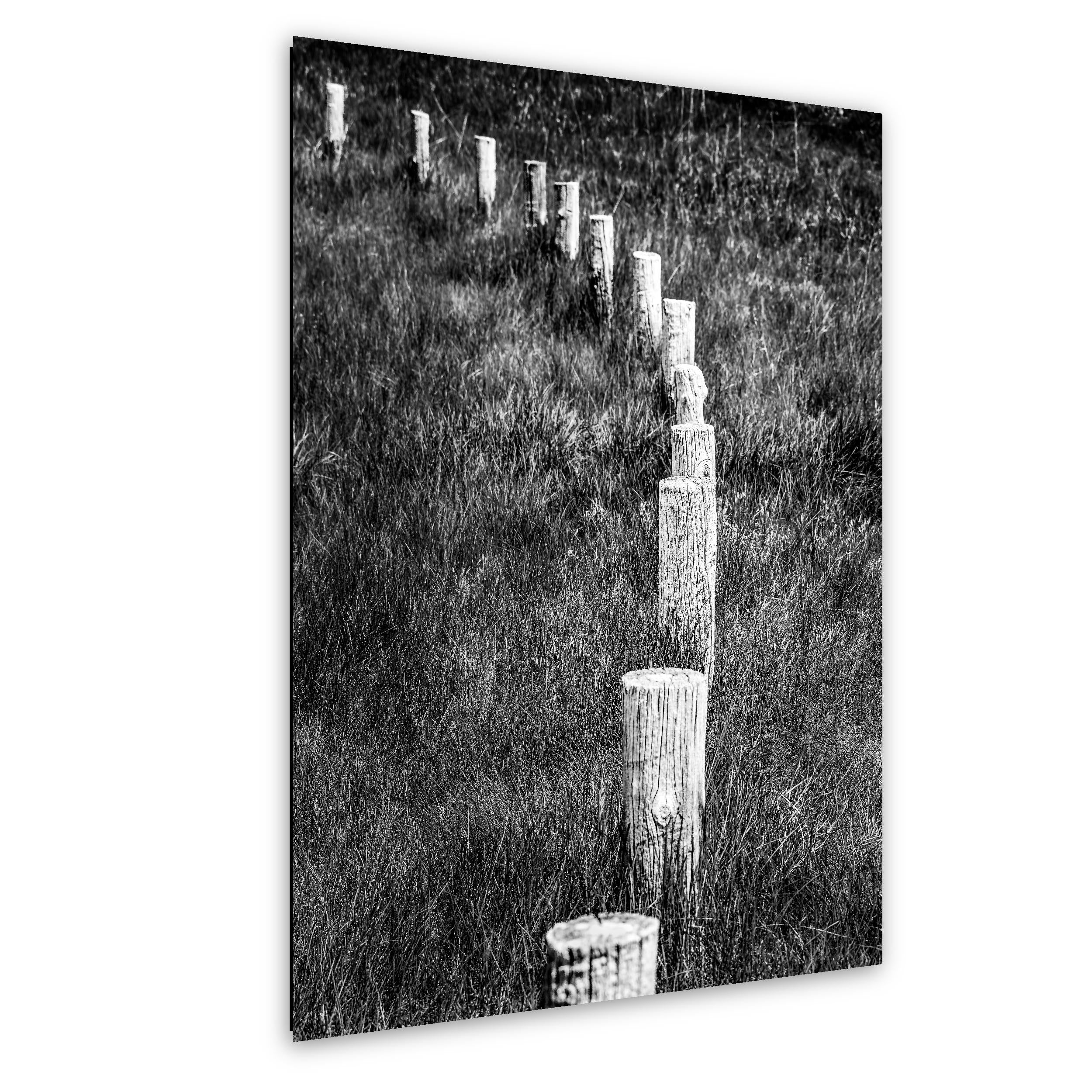 Monochrome Lines: Fence Posts Devils Tower Wyoming Black and White Wall Art
