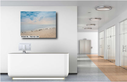 Birds on Perdido Key Beach: Florida Seascape Print Wall Art Coastal Wildlife Photography Aluminum/Acrylic/Metal/Canvas Home Decor