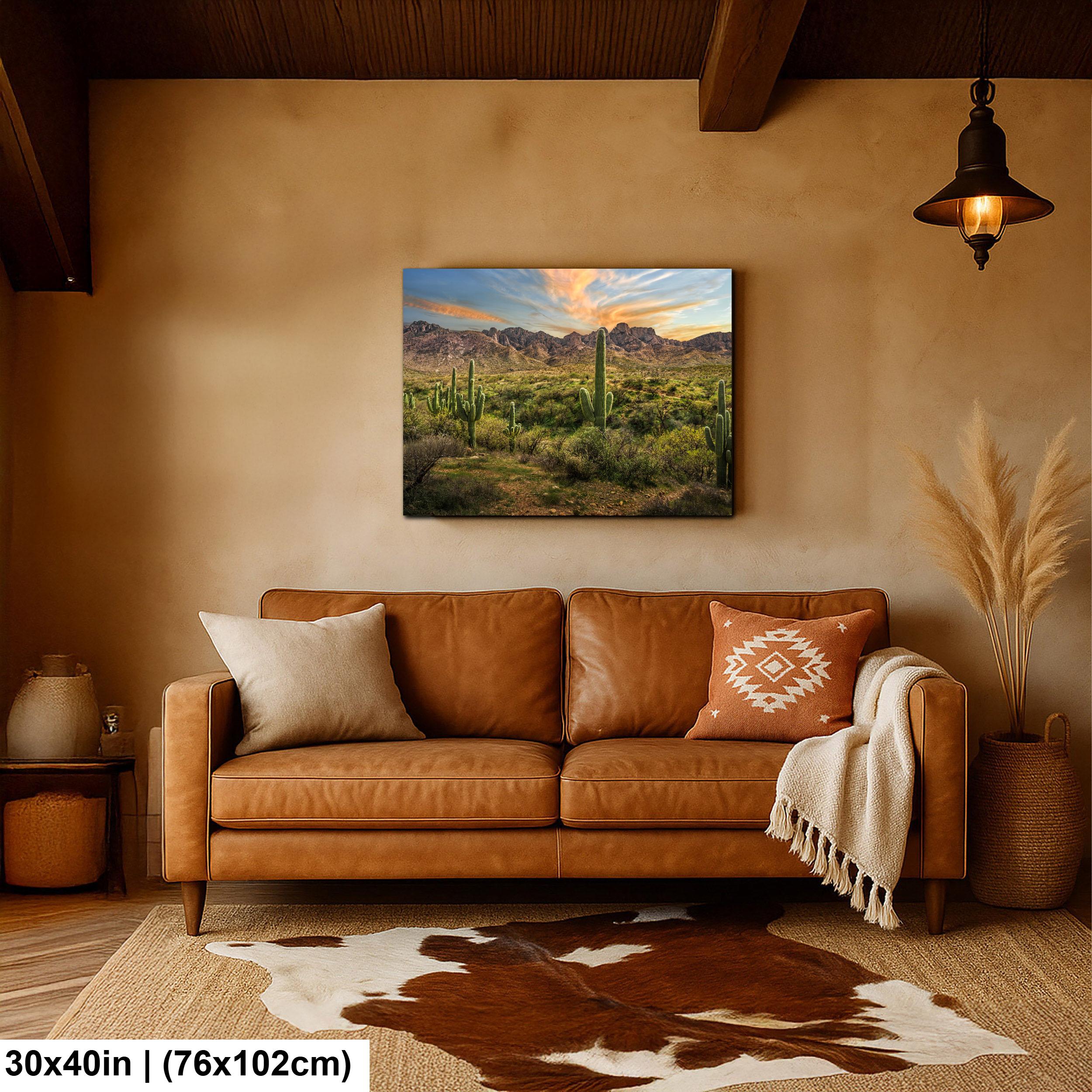 Santa Catalina Mountains with Saguaros Photography Print, Catalina State Park Tucson Arizona Desert Landscape Wall Art