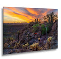 Sonoran Desert Sunset Overlook with Saguaros and Cholla Tucson Arizona Photography Print