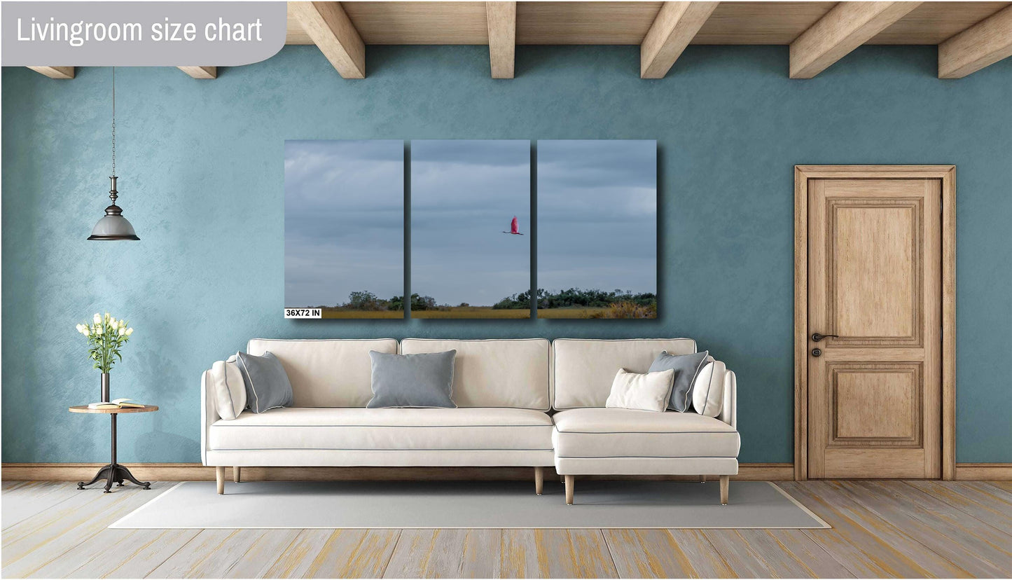 Everglades Roseate Spoonbill In Flight: Everglades National Park Florida Print Wall Art Bird Photography Aluminum/Acrylic/Metal/Canvas