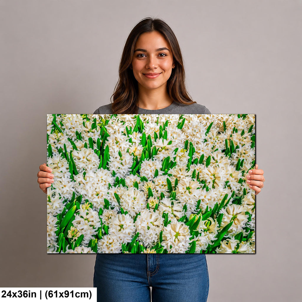 Spring Whites: White Hyacinth Flowers Botanical Photography Wall Art