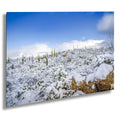 Saguaro National Park Winter Snow Photography Print