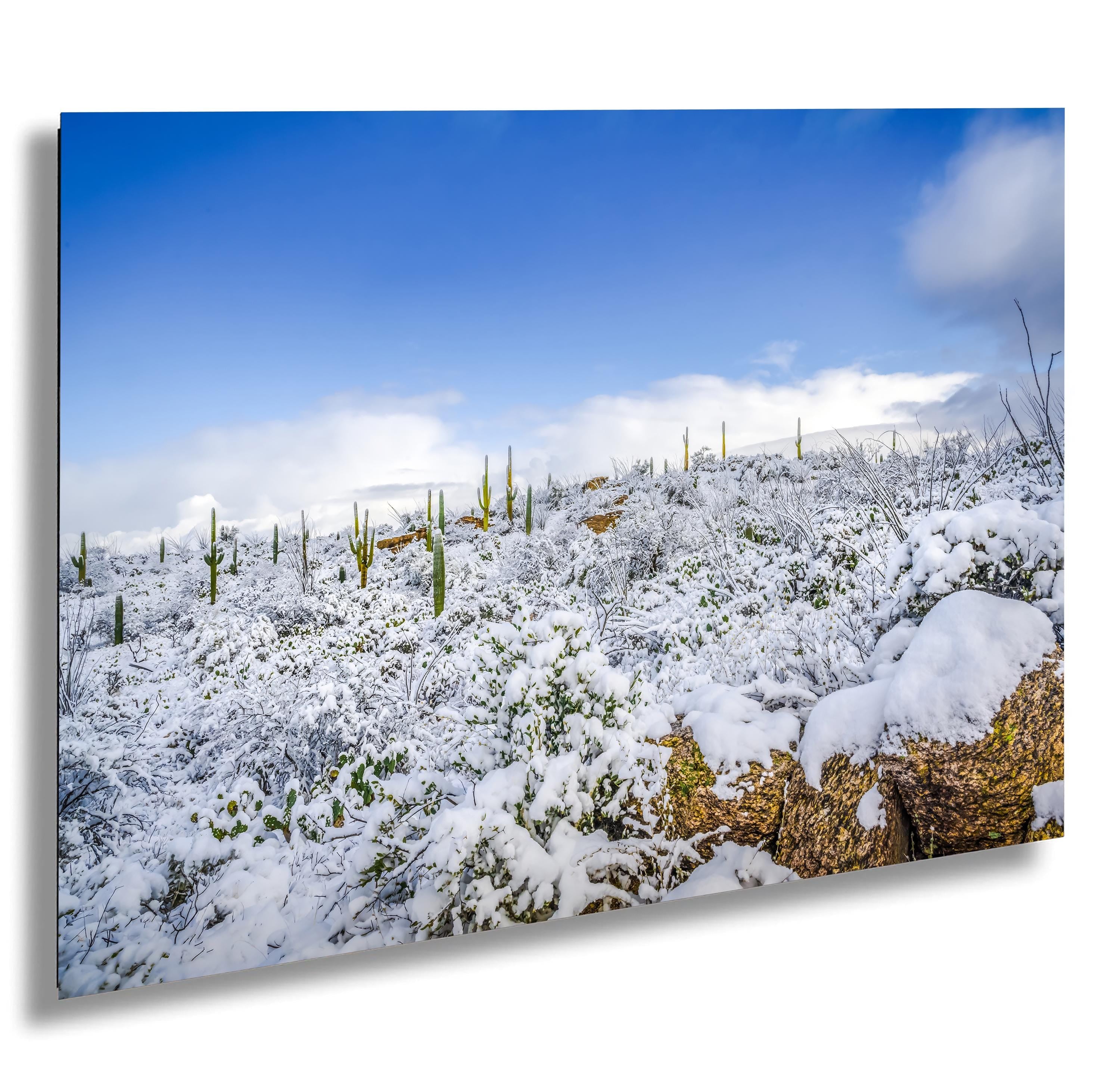 Saguaro National Park Winter Snow Photography Print