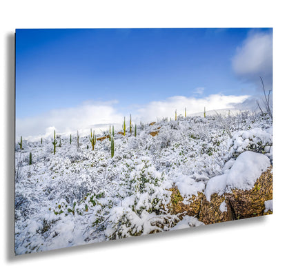 Saguaro Snow Print – Winter Desert Photography | Southwestern Cactus Wall Art