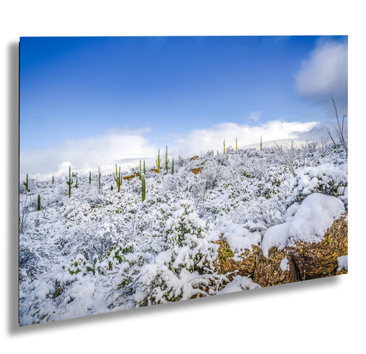 Saguaro Snow Print – Winter Desert Photography | Southwestern Cactus Wall Art