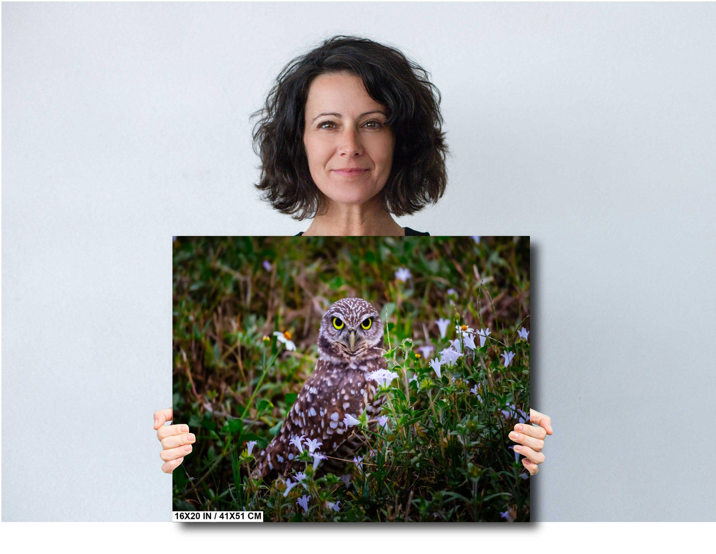 Burrowing Owl Amid Blossoms and Grass – Cape Coral’s Feathered Star The Americas Print Wall Art Photography Aluminum/Acrylic/Metal/Canvas