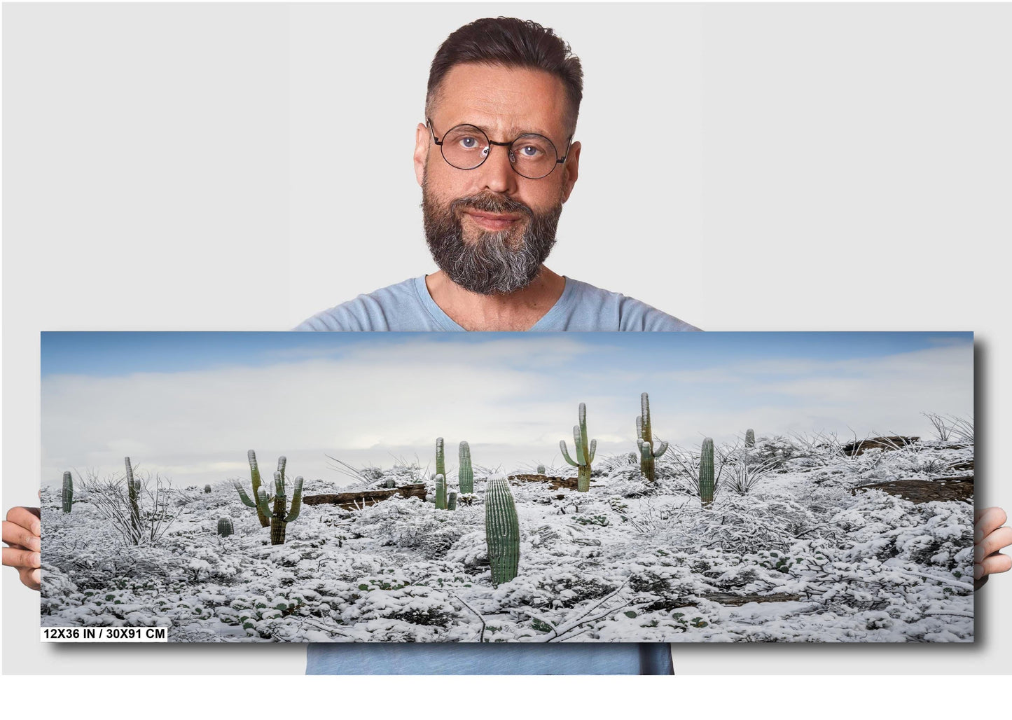 Desert Giants in Winter White: Saguaro National Park Print Wall Art Tucson Cactus Snow Landscape Photography Aluminum/Acrylic/Metal/Canvas