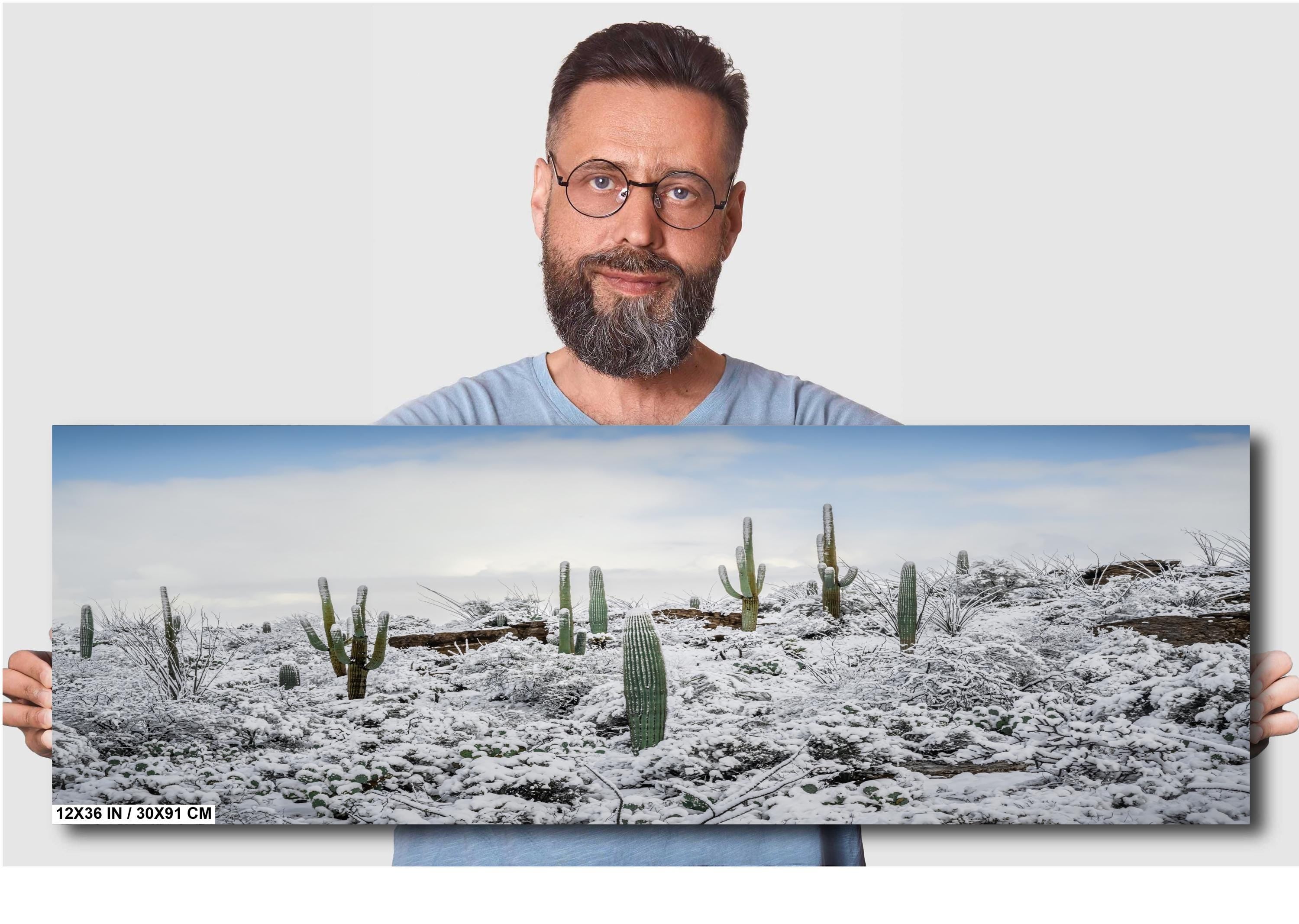 Saguaro National Park Winter Snow Cactus Landscape Art Print