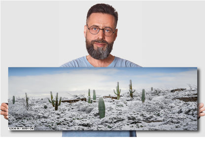 Desert Giants in Winter White: Saguaro National Park Print Wall Art Tucson Cactus Snow Landscape Photography Aluminum/Acrylic/Metal/Canvas