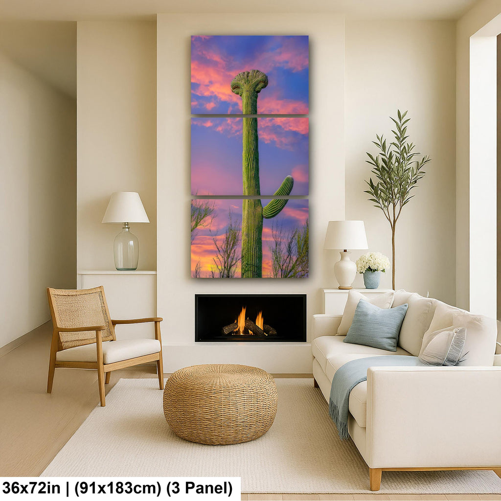 Crested Saguaro Cactus at Sunset - Saguaro National Park East Tucson Photography Print