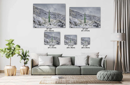 Saguaro Cactus Wall Art - Snowy Desert Print | Winter Sonoran Desert Photography