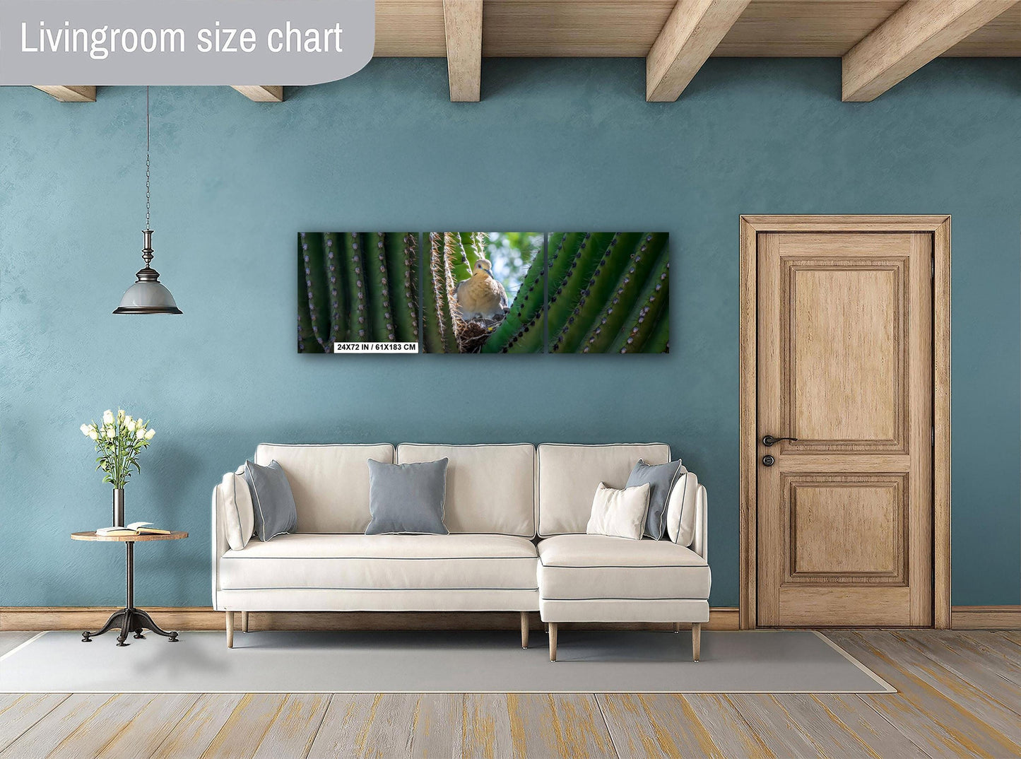 Mourning Dove in Saguaro Cactus Nest Arizona Desert Wildlife