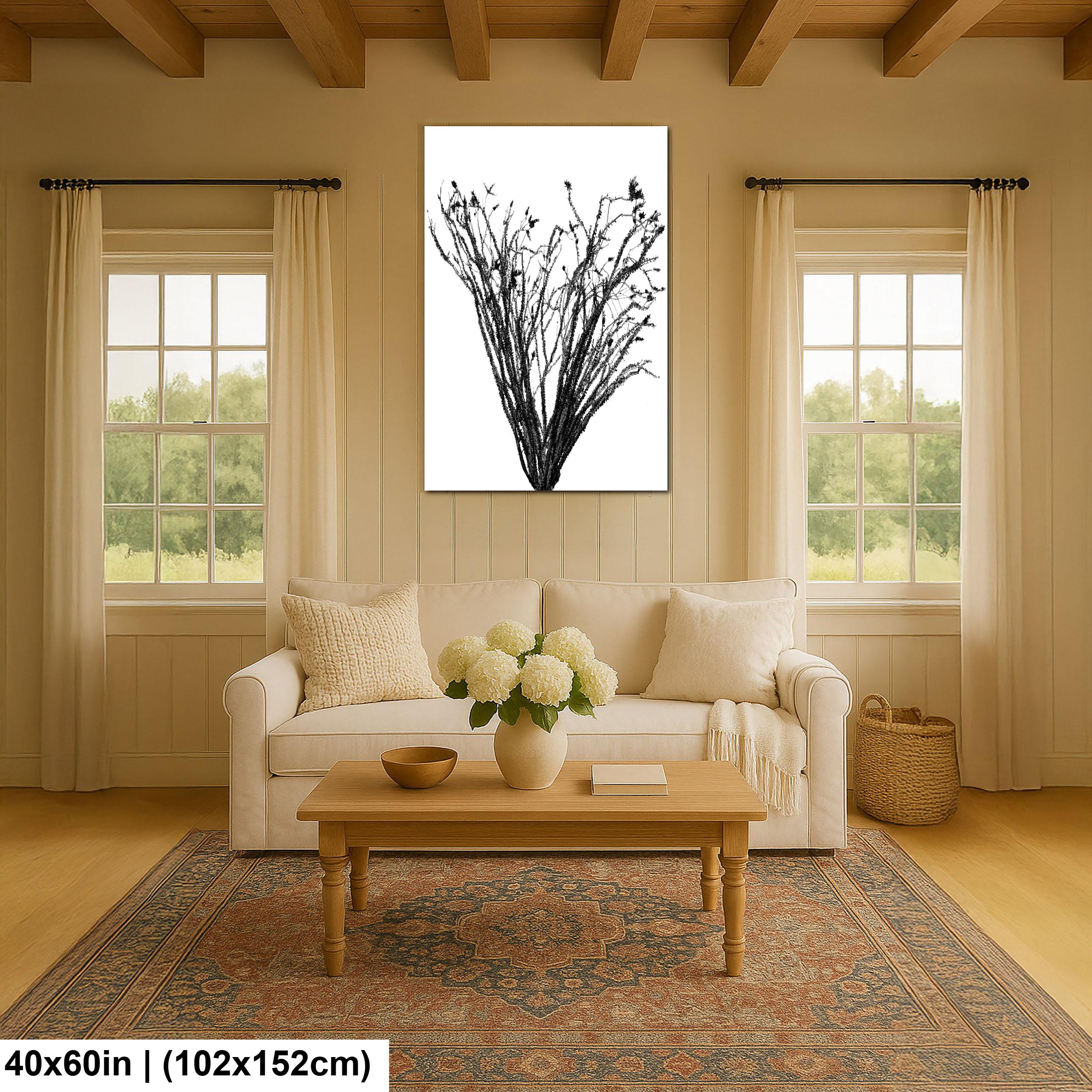 Ocotillo Cactus Silhouette Print: Black and White Desert Photography