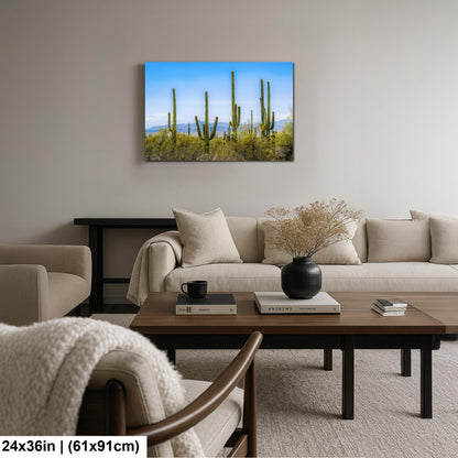 Panoramic Saguaro Desert Landscape, Tucson Arizona Photography Print, Southwest Wall Art, Cactus Decor, Desert Mountain View