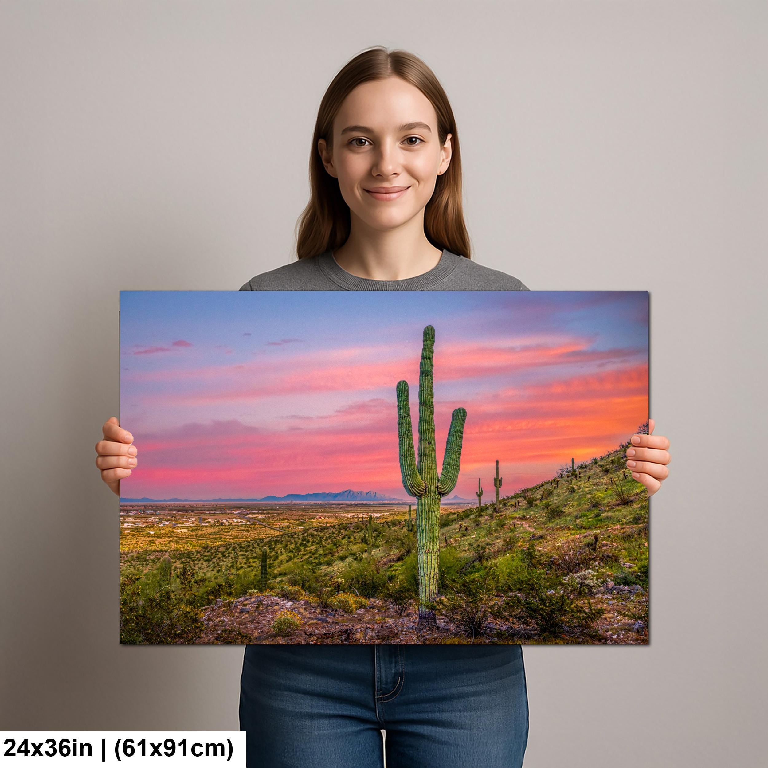 Sonoran Desert Sunset with Saguaros, Casa Grande Arizona, Photography Wall Art