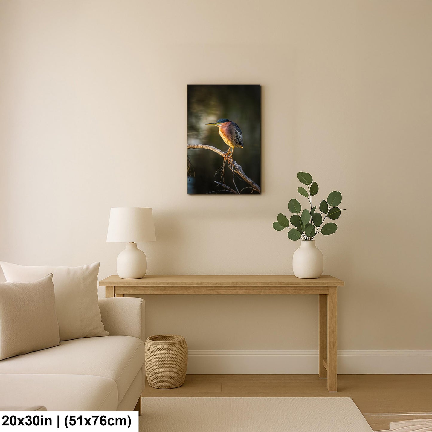 Green Heron Photography Print, Agua Caliente Park Tucson Arizona, Bird Wall Art, Nature Home Decor, Wildlife Gift