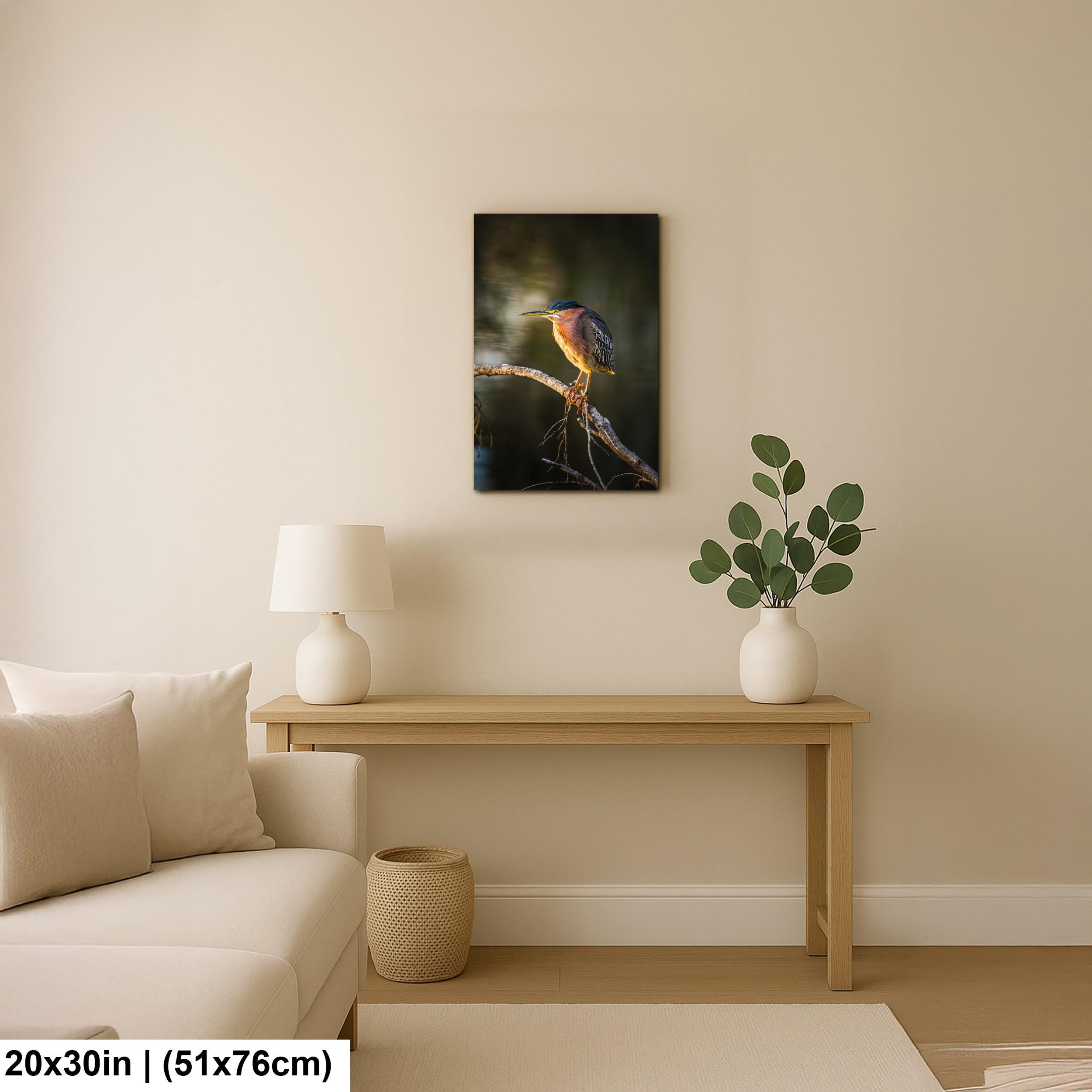 Green Heron Photography Print, Agua Caliente Park Tucson Arizona, Bird Wall Art, Nature Home Decor, Wildlife Gift