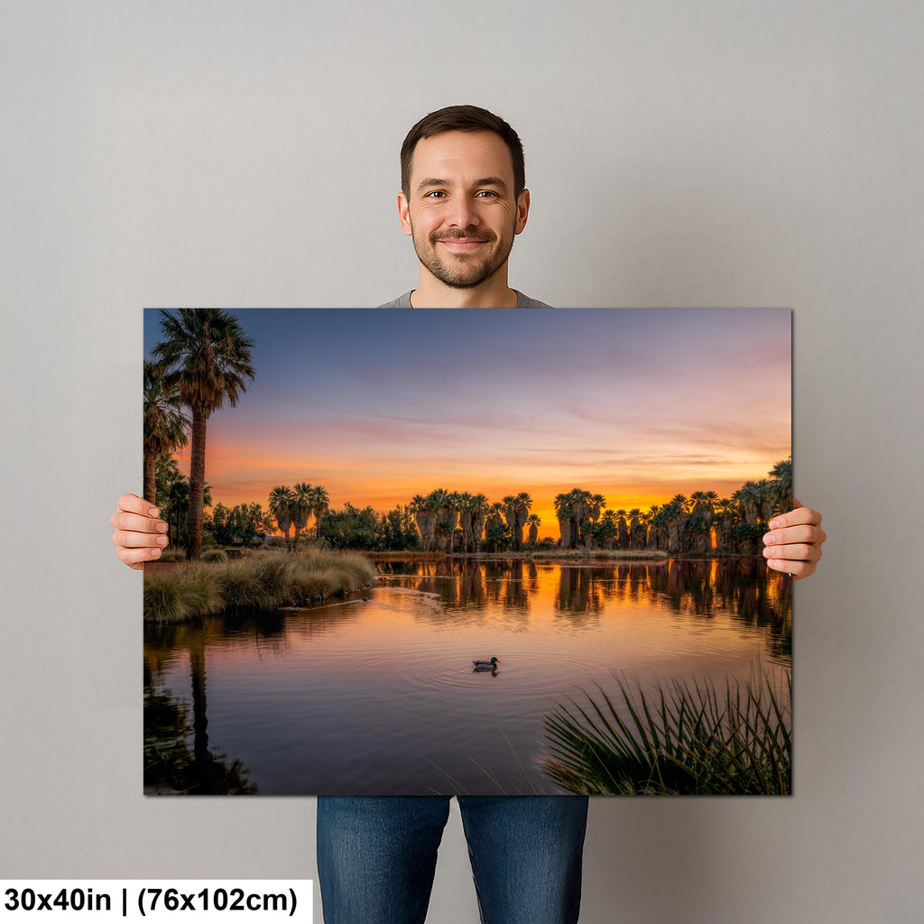 Agua Caliente Park Sunset Reflection, Tucson Arizona Photography Print, Desert Oasis Wall Art, Palm Tree Landscape Decor