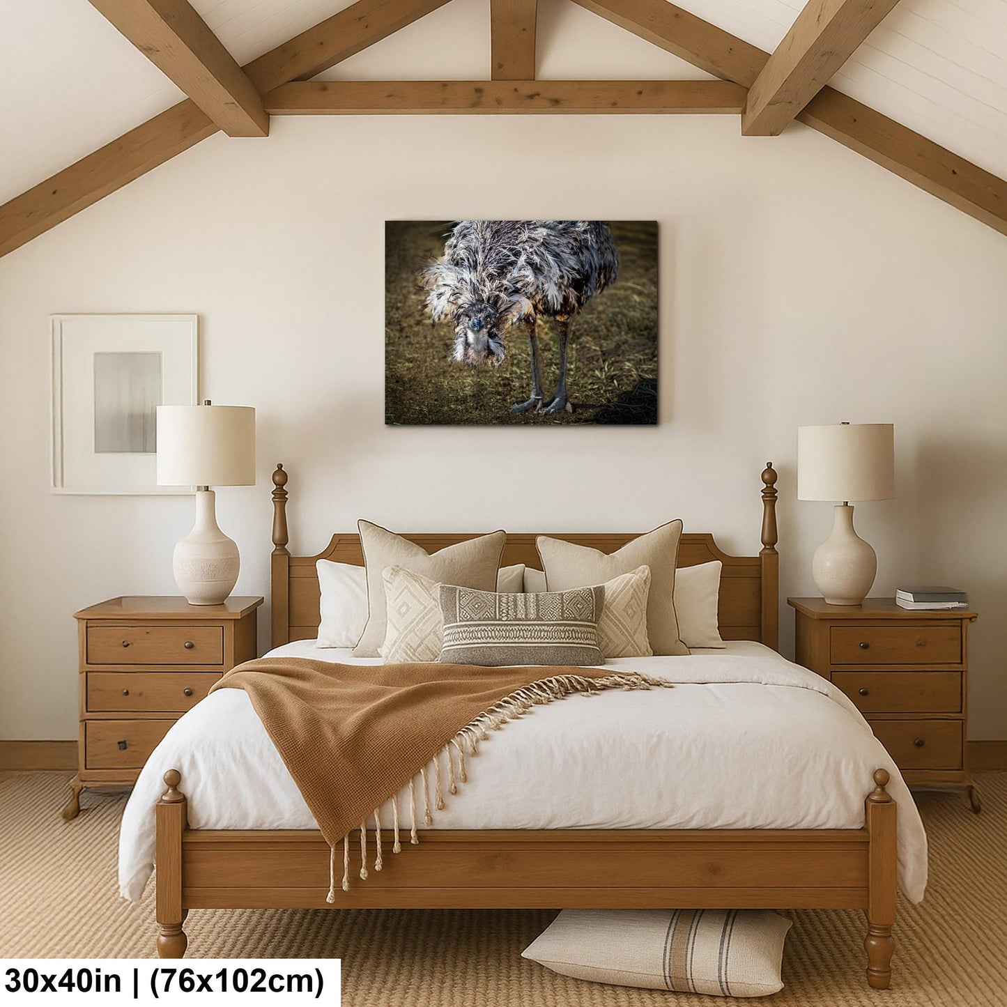 Emu Wildlife Portrait with Textured Feathers - Benson Arizona Photography Print