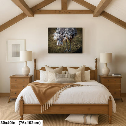 Emu Wildlife Portrait with Textured Feathers - Benson Arizona Photography Print