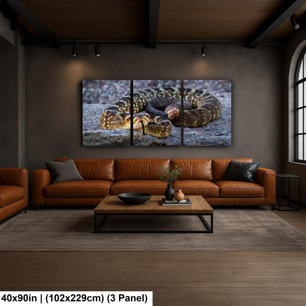 Black-Tailed Rattlesnake Print – Tucson Desert Wildlife Art | Ready to Hang Canvas