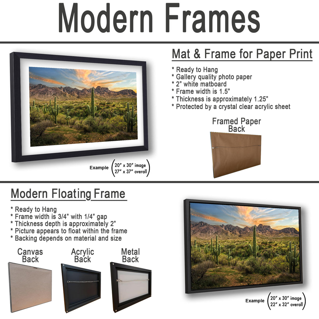 Santa Catalina Mountains with Saguaros Photography Print, Catalina State Park Tucson Arizona Desert Landscape Wall Art