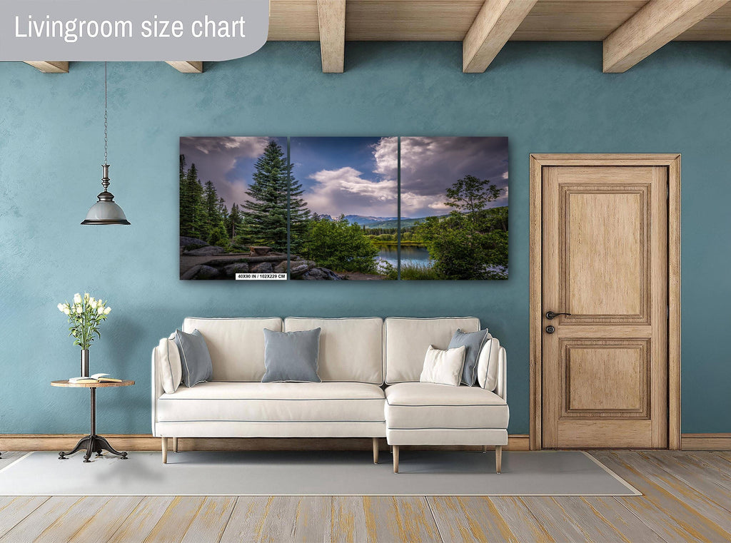 Rocky Mountain National Park Print: Colorado Cloud-Kissed Pines Photography