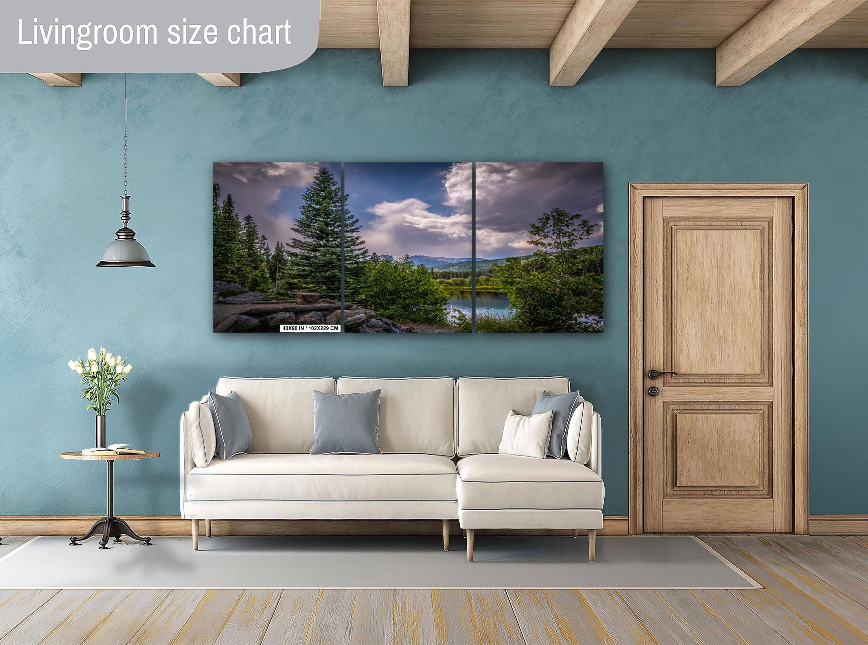 Rocky Mountain National Park Print: Colorado Cloud-Kissed Pines Photography