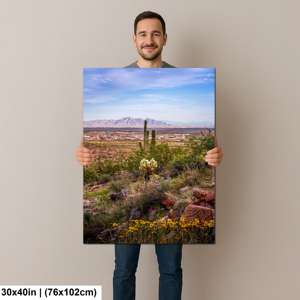 Mountain View Hike with Saguaros and Wildflowers, Casa Grande Arizona Desert Wall Art