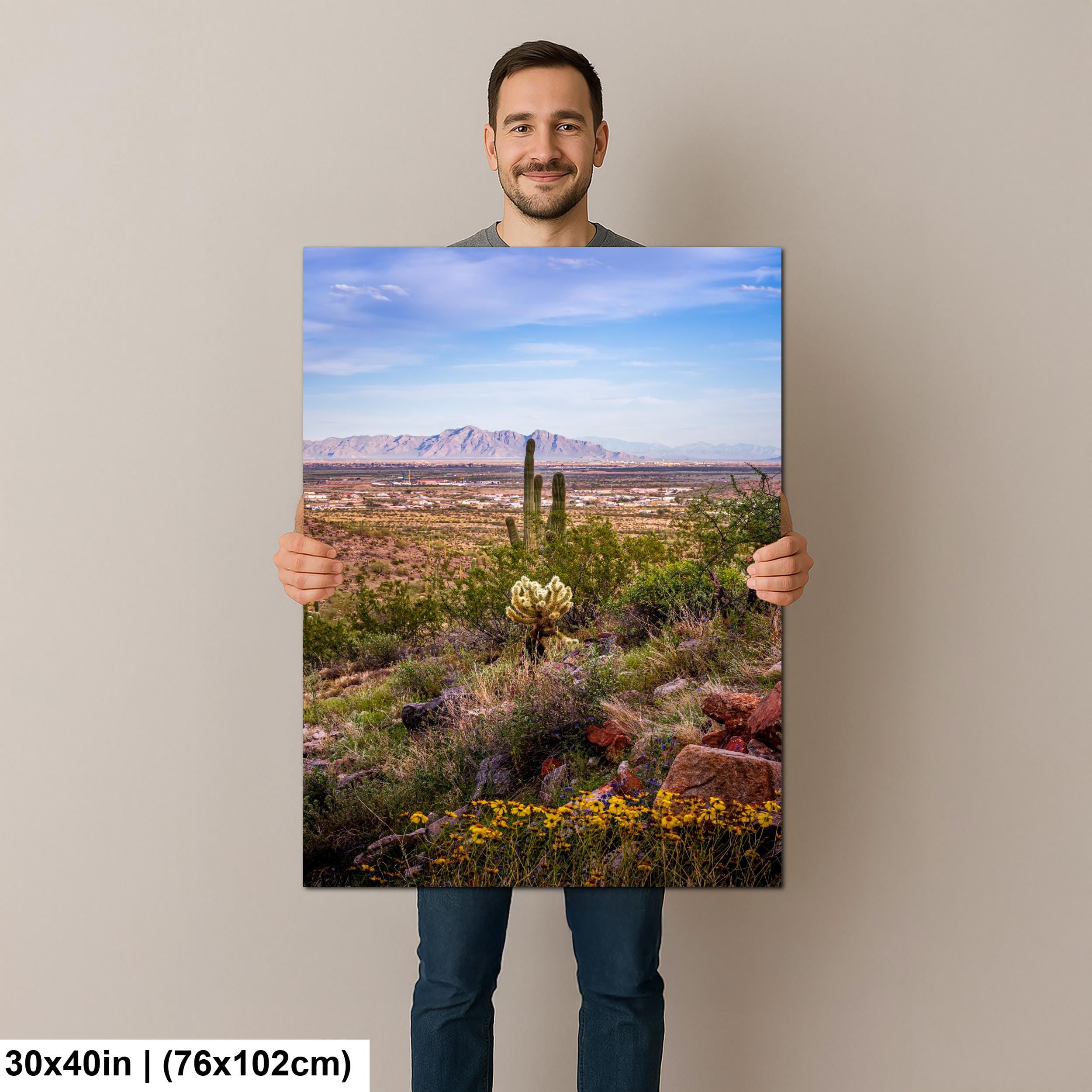 Mountain View Hike with Saguaros and Wildflowers, Casa Grande Arizona Desert Wall Art