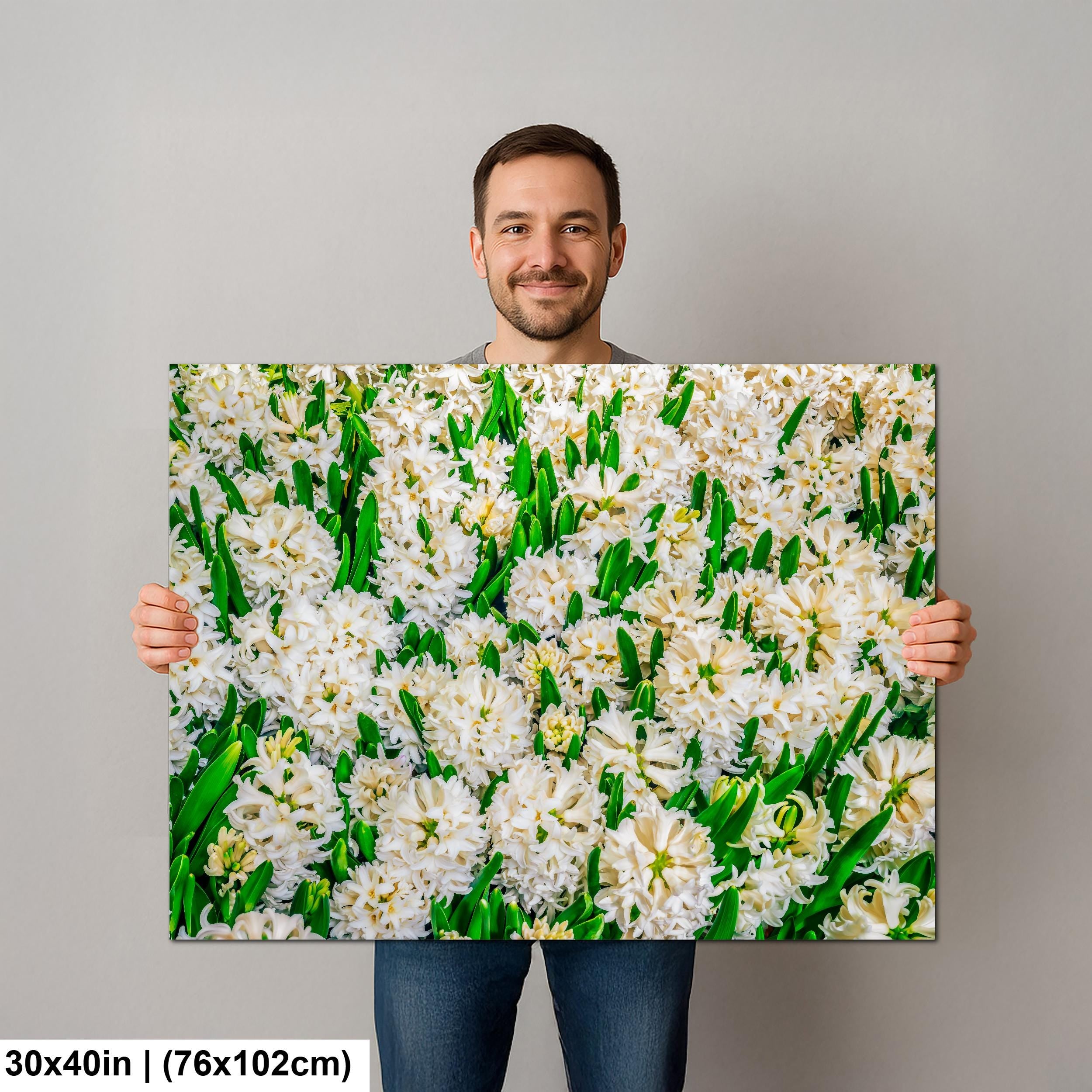 Spring Whites: White Hyacinth Flowers Botanical Photography Wall Art
