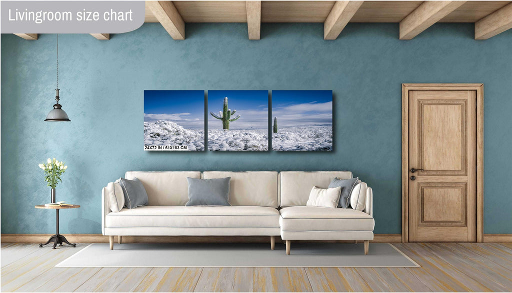 Snowy Saguaro Cactus Print: Tucson Desert Winter Photography