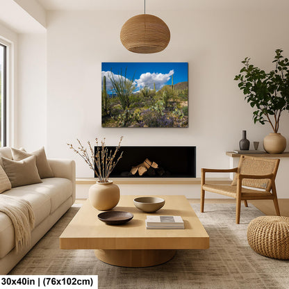 Sonoran Desert Spring Wildflowers with Saguaros - Sabino Canyon Tucson Arizona Photography Print