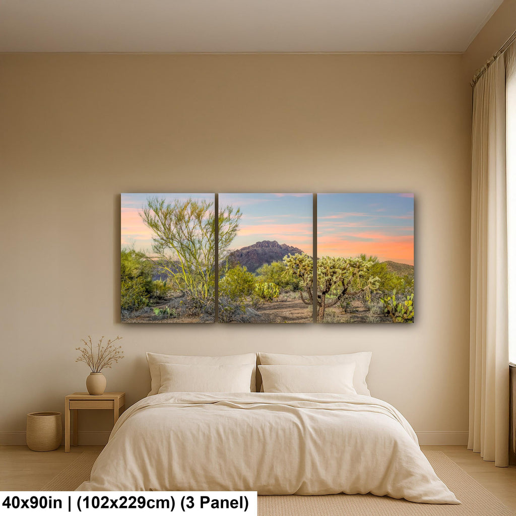 Cholla Cactus Sunset with Mountain View, Tucson Arizona Photography Print