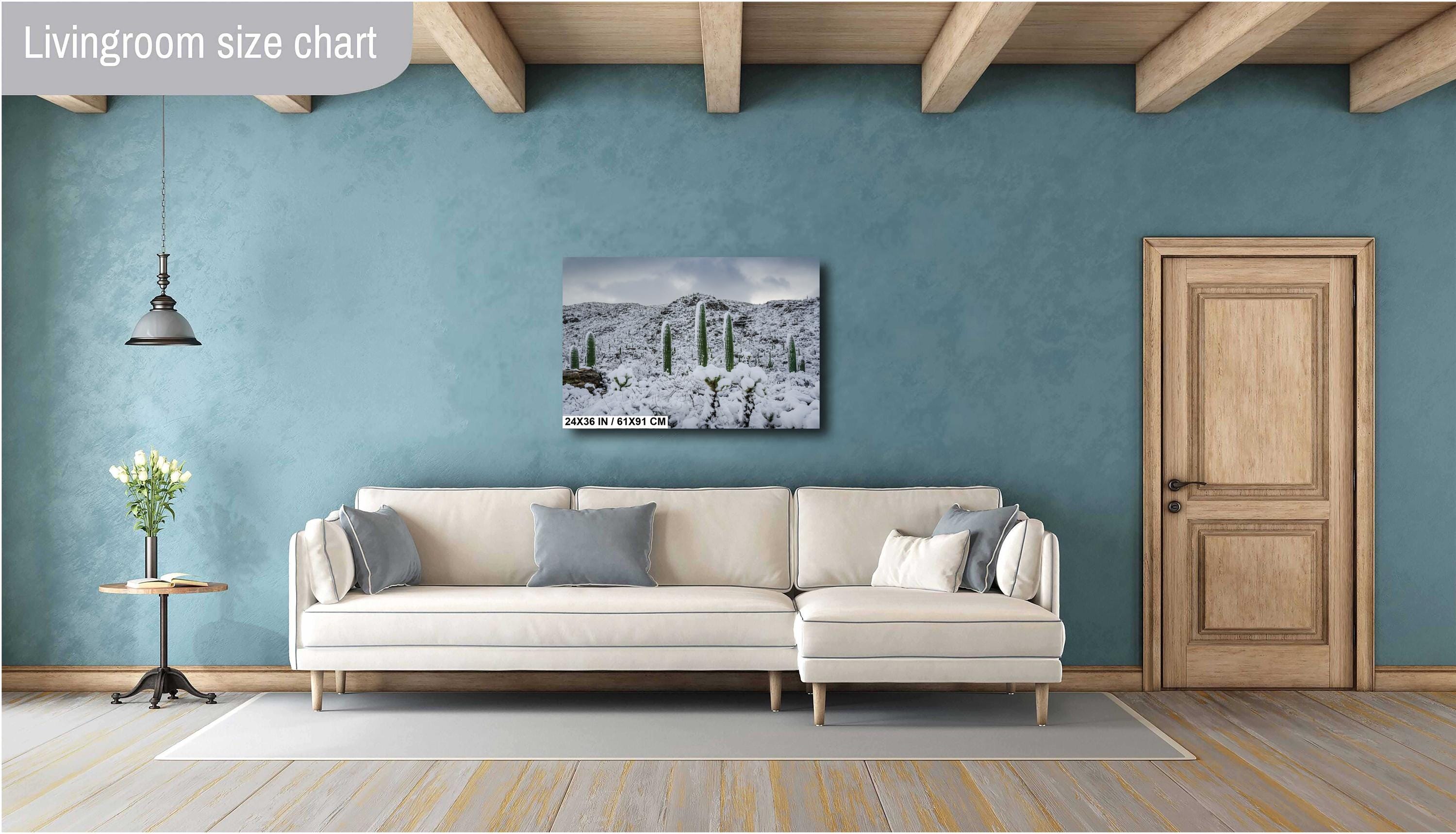 Saguaro National Park Winter Snow Photography Print: Tucson Desert Wall Art