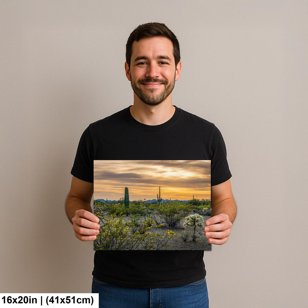Spring Wildflowers and Saguaros at Dusk Tucson Arizona Photography Print