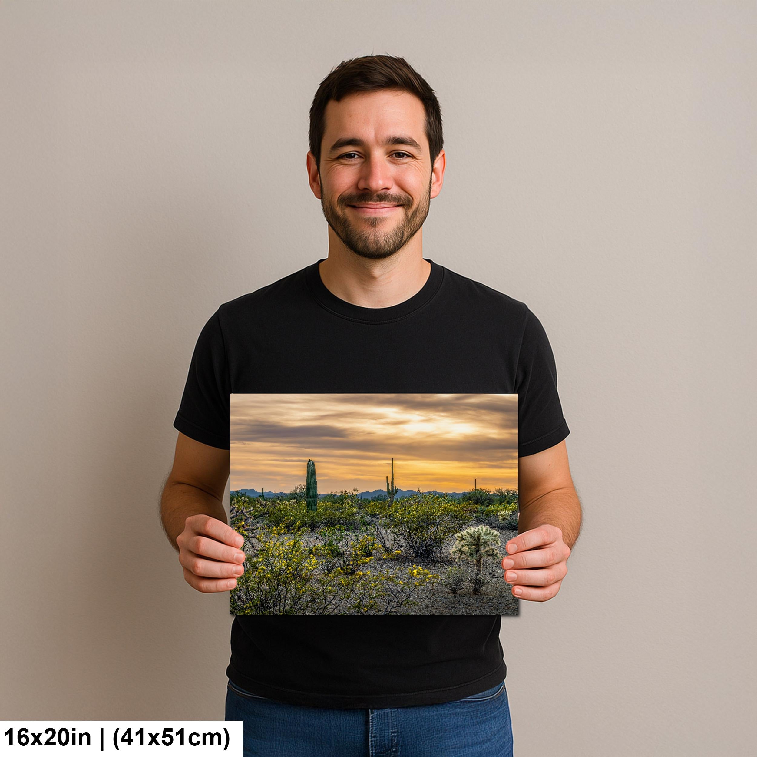 Spring Wildflowers and Saguaros at Dusk Tucson Arizona Photography Print